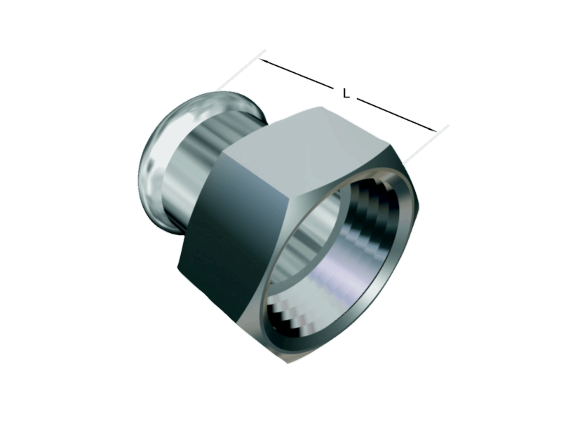 Alacer Mas, 2-Piece Adapter