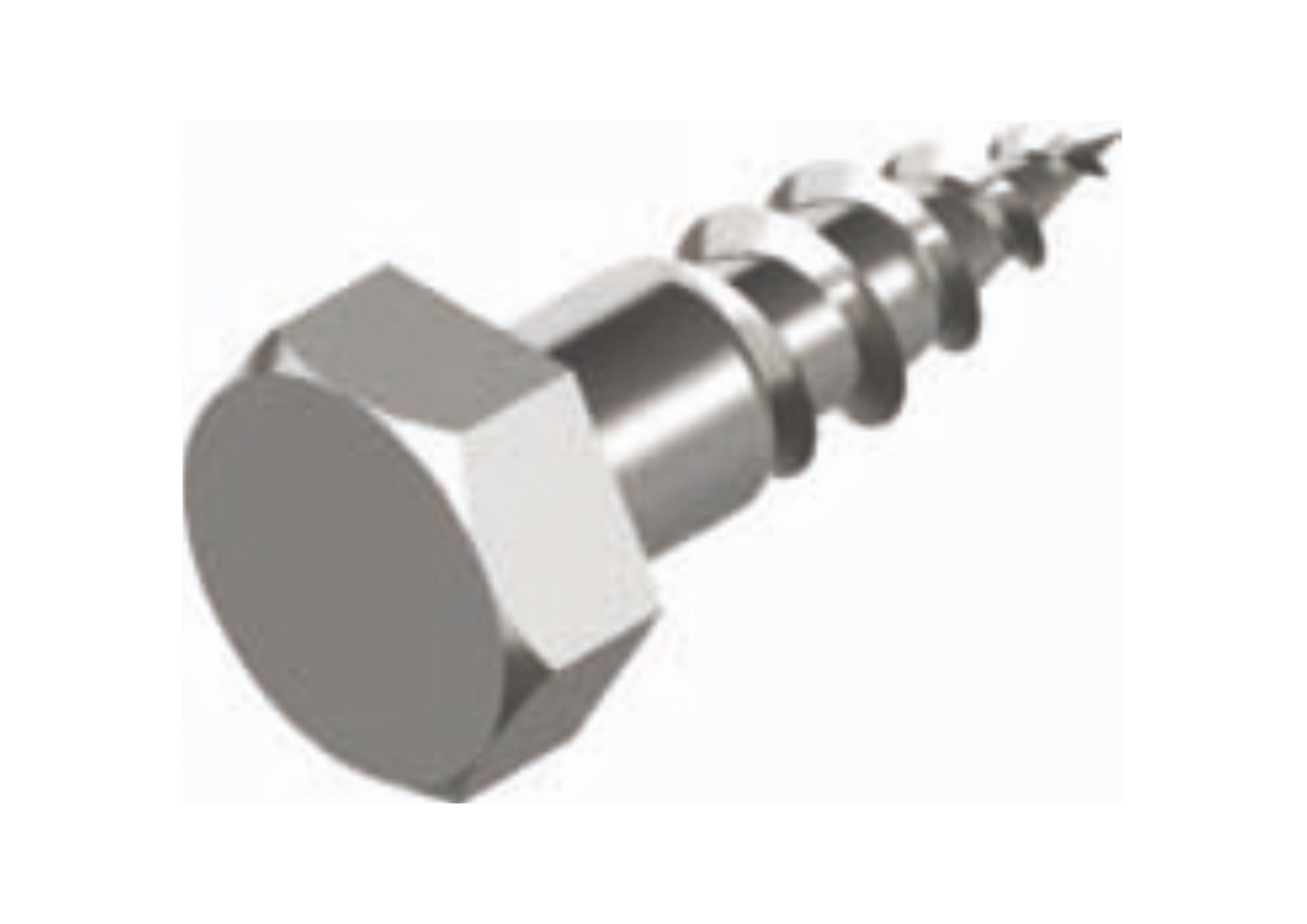 Alacer Mas, DIN 571 Hexagon Head Wood Screw